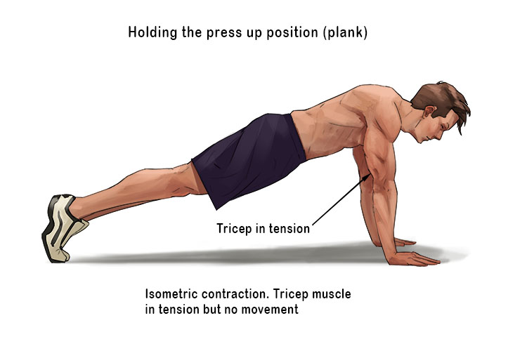It also includes any type of exercise that holds the body in one position for the duration of the exercise. An example would be holding plank